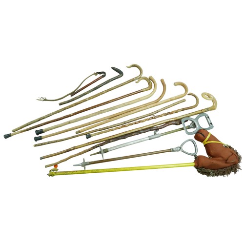 322 - A collection of walking sticks, shooting sticks and a Hobby horse. (13)

Provenance: Privately owned... 