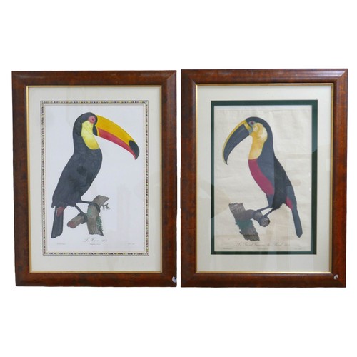 392 - After Jacques Barraband (French 1767-1809) two coloured engravings of Two Toucans, Le Coco no6 and L... 