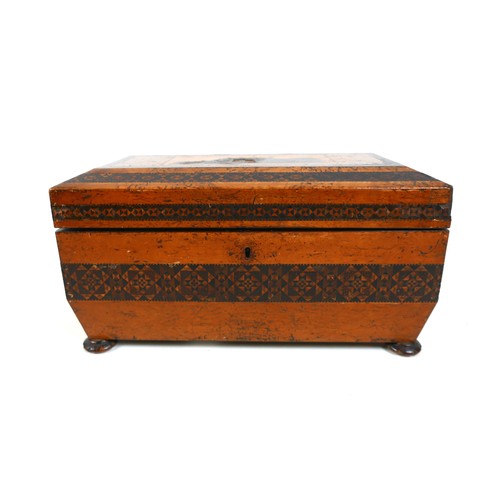 317 - A 19th Century Tunbridge Ware rosewood country House tea caddy, replacement bowl, 32 by 16 by 17cm