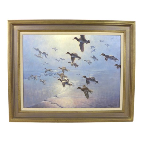 459 - Julian Novorol (b.1949) oil on canvas wild fowl in flight, dated 2000, frame size 76cm by 61cm.