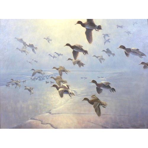 459 - Julian Novorol (b.1949) oil on canvas wild fowl in flight, dated 2000, frame size 76cm by 61cm.