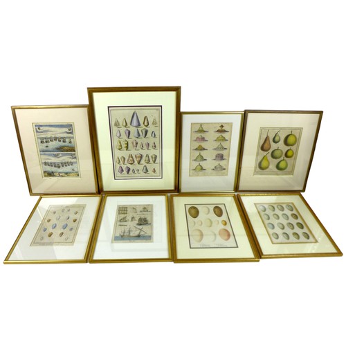 395 - A collection of eight gilt framed decorative prints of shells, eggs, desserts, maritime and fruit, l... 