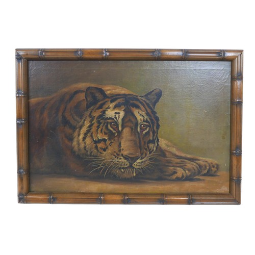 430 - Continental School (20th century): a tiger, unsigned, oil on canvas, 40 by 60cm, in bamboo effect fr... 