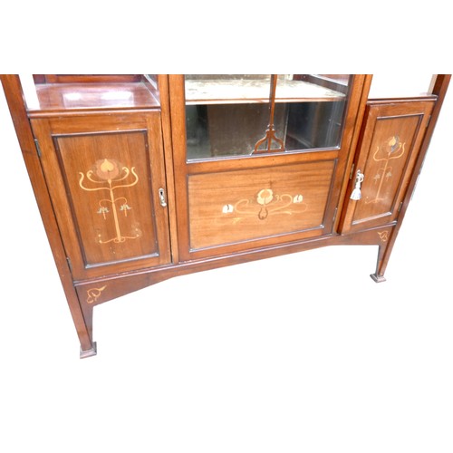 608 - An Art Nouveau mahogany display cabinet, with inlaid metal and fruitwood decoration, stepped and sha... 