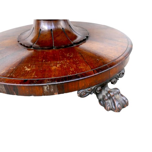 556 - A William IV rosewood breakfast table, circular tilt top on an turned column with lappet carving, ra... 