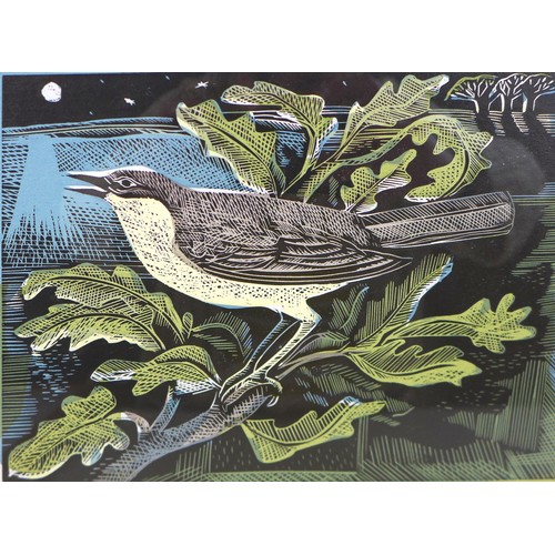 393 - Angela Harding (British 1960) limited edition print Nightingale and  Oak tree, number 5/35 frame siz... 