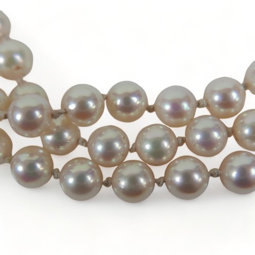 337 - A good quality triple string of pearls with a hallmarked amethyst set yellow gold clasp, 38cm long, ... 