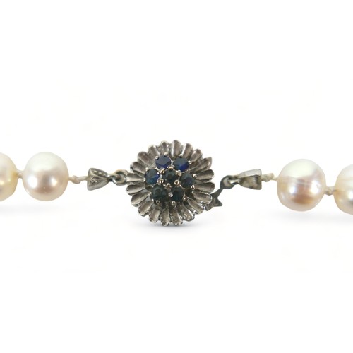 242 - A single string of pearls with an 18ct white gold clasp, 52 cm long, the pearls vary slightly in siz... 