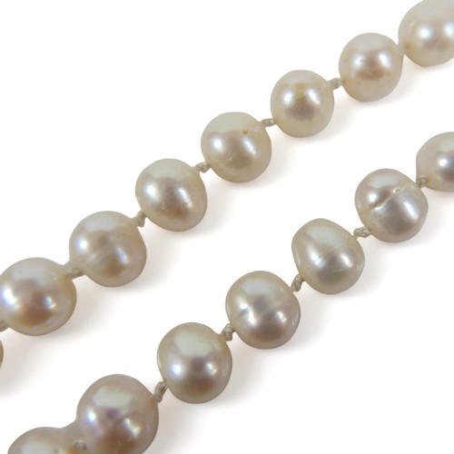 242 - A single string of pearls with an 18ct white gold clasp, 52 cm long, the pearls vary slightly in siz... 