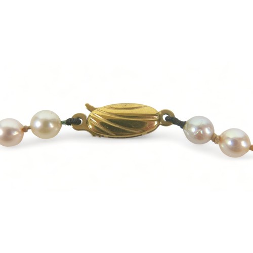 226 - A pearl necklace, with 9ct gold clasp, single string of individually knotted evenly sized pearls, ea... 