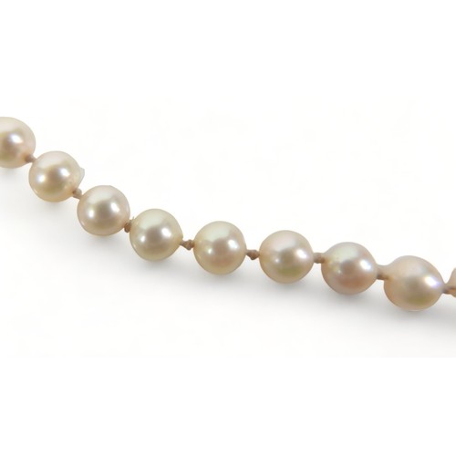 226 - A pearl necklace, with 9ct gold clasp, single string of individually knotted evenly sized pearls, ea... 