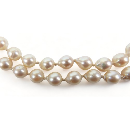 182 - A double string of pearls with a 14ct yellow gold clasp, 47cm long, average size of pearls 7mm.