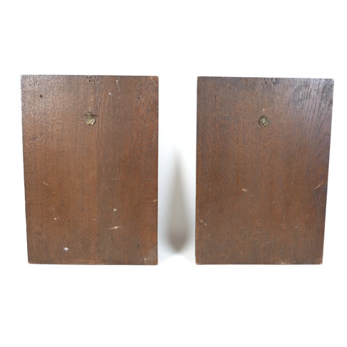 139 - A pair of bronzed classical Greek plaques on oak boards 25cm by 35cm.