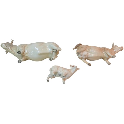 95 - Three Beswick Charolais cattle figurines, comprising a bull, 12.5cm high, a cow, 11cm high, and a ca... 