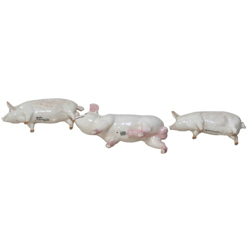 84 - Three Beswick figurines of pigs, comprising a Middlewhite, 9.5cm high, a 'Ch Wall Queen' and 'Ch Wal... 