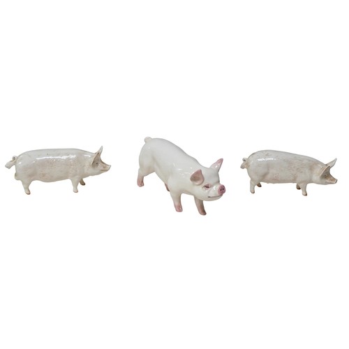 84 - Three Beswick figurines of pigs, comprising a Middlewhite, 9.5cm high, a 'Ch Wall Queen' and 'Ch Wal... 