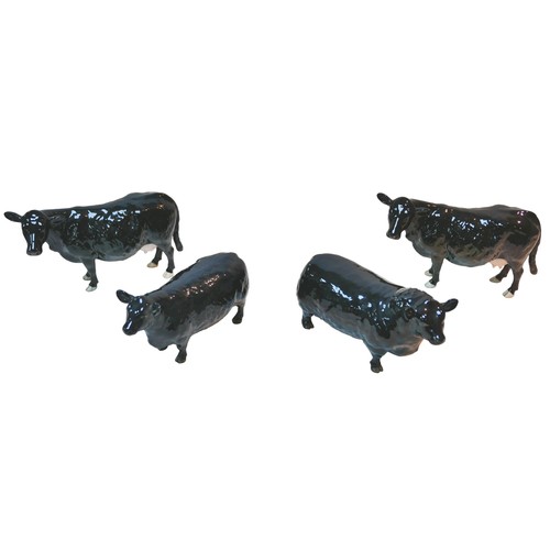 94 - Four Beswick Aberdeen Angus cattle figurines, comprising a bull, 11cm high, and three cows, largest ... 