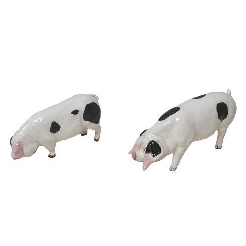 83 - Two Beswick figurines of Old Spot pigs, both sows, largest 8.5cm high, smallest, 7.5cm high. (2)