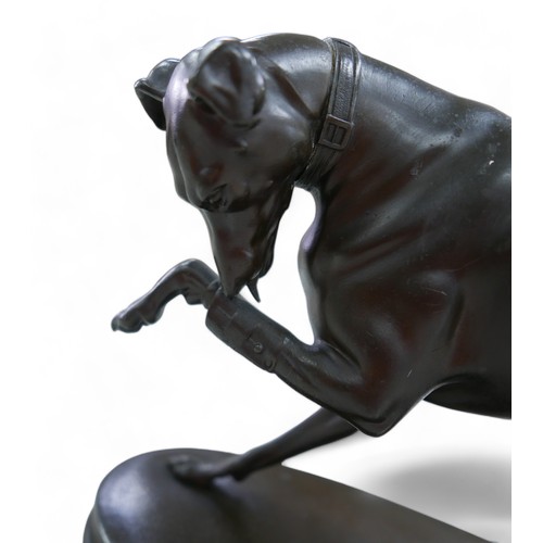 129 - A 19th century spelter sculpture, of a greyhound licking its injured paw, signed 'A. Vogt' to oval b... 