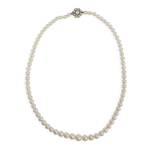 172 - A single string graduating pearl necklace with a 9ct yellow gold clasp, pearls graduating from 5mm t... 