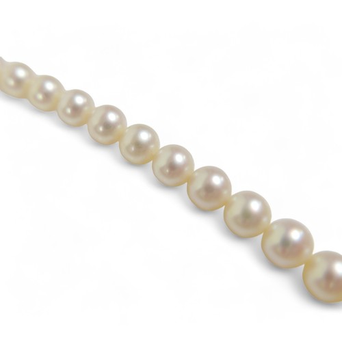 172 - A single string graduating pearl necklace with a 9ct yellow gold clasp, pearls graduating from 5mm t... 