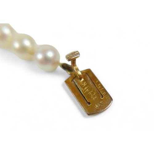 172 - A single string graduating pearl necklace with a 9ct yellow gold clasp, pearls graduating from 5mm t... 