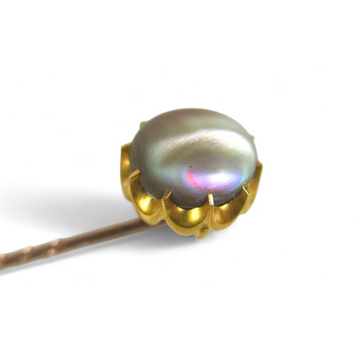 121 - A gilt metal mother of pearl pin, head 14 by 11mm. Gross weight 4.6 grams.