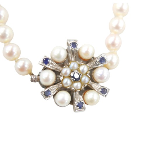 210 - A pearl necklace with 9ct white gold and blue sapphire clasp, largest pearl, 8mm, smallest 5mm, 25g,... 