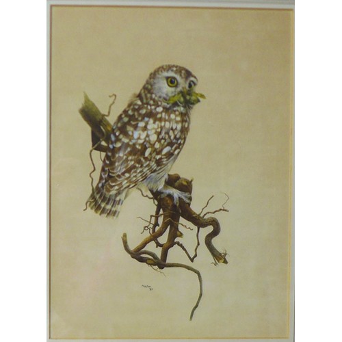 397 - A group of six gilt framed bird prints, each 28 by 26cm, glazed and framed, 50 by 40cm. (6)