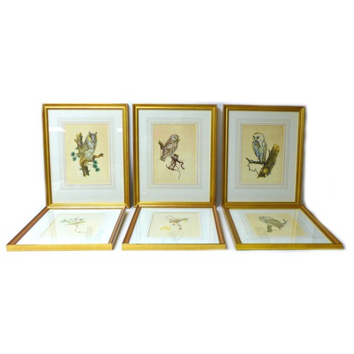 397 - A group of six gilt framed bird prints, each 28 by 26cm, glazed and framed, 50 by 40cm. (6)