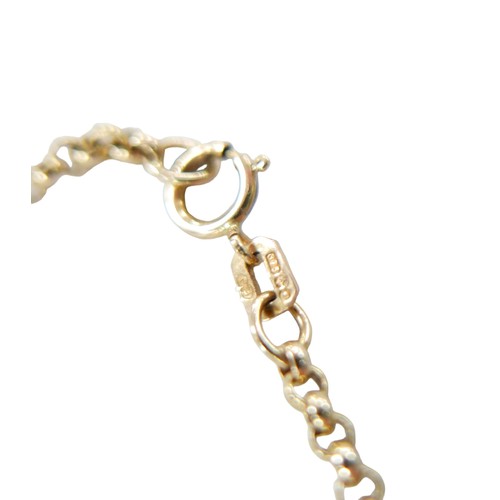 48 - A 9ct gold chain necklace, 9.7g, 62cm long.