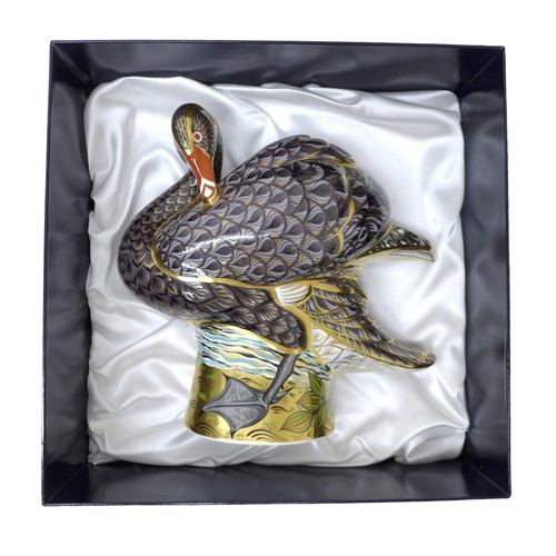 243 - A large Royal Crown Derby gold stopper paperweight of a black swan with box and signed certificate n... 