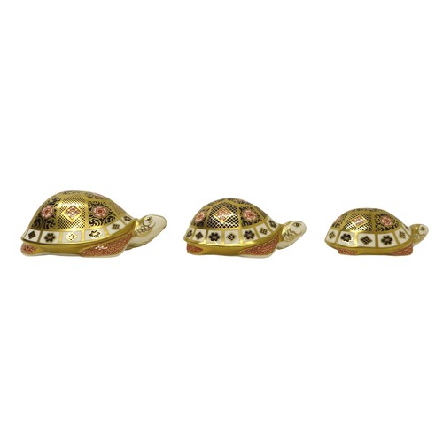 228 - A Royal Crown Derby paperweight group, The Yorkshire Rose Tortoise Family, comprising, Father, Mothe... 