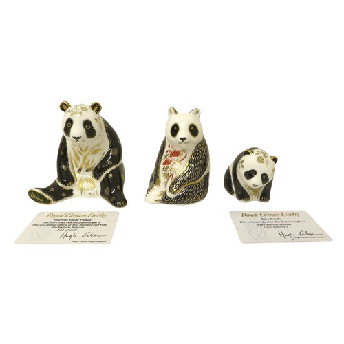 227 - A group of three boxed Royal Crown Derby paperweights, comprising Giant exclusive to Harrods limited... 