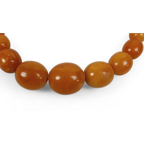 120 - A butterscotch amber bead necklace, with bolt ring clasp, of forty five graduating beads, largest be... 