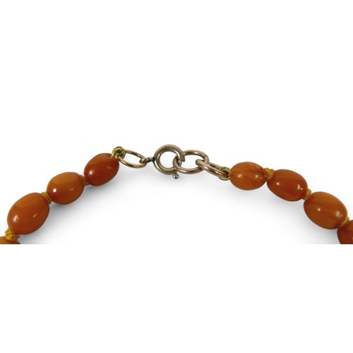 120 - A butterscotch amber bead necklace, with bolt ring clasp, of forty five graduating beads, largest be... 