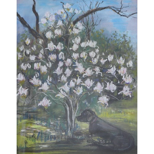 223 - Eva Aldbrook (German, 1925-2019): 'Sotto L'Albero', depicting a dog sitting beneath a magnolia tree,... 