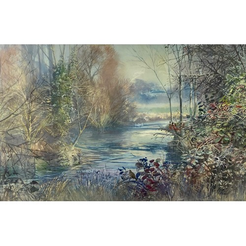 228 - Tim Scott Bolton (British, b. 1947): 'River Wylye Codford', signed and dated 2016 lower right, water... 