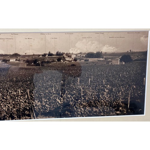 214 - A large framed vintage print of the Saint-Emilion vineyard in France, 54 by 130cm.