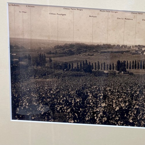 214 - A large framed vintage print of the Saint-Emilion vineyard in France, 54 by 130cm.