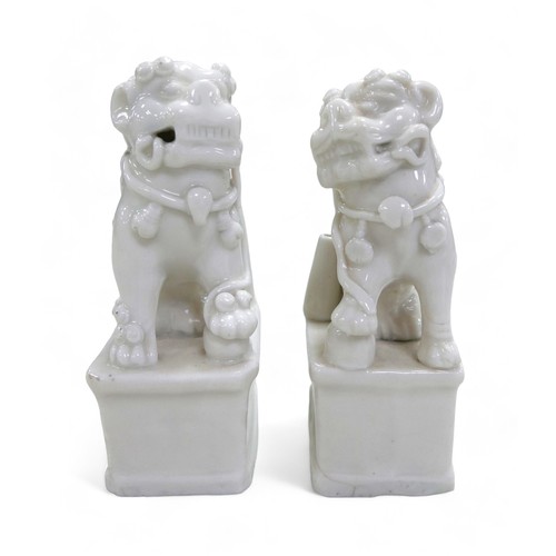 105 - A pair of Chinese blanc de chine Fo dogs, 7 by 5 by 13cm high.