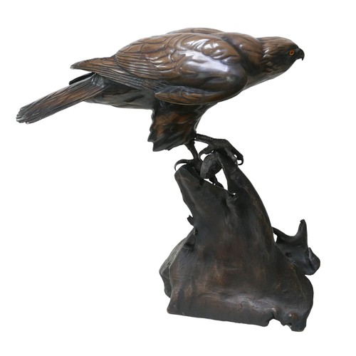 171 - Alan Glasby (British, 1945-2008): cold cast bronze prototype sculpture 'Contact' of a Goshawk, signe... 