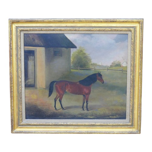 230 - British School (early 20th century): equine portrait, of a Bay horse, standing in a field besides a ... 