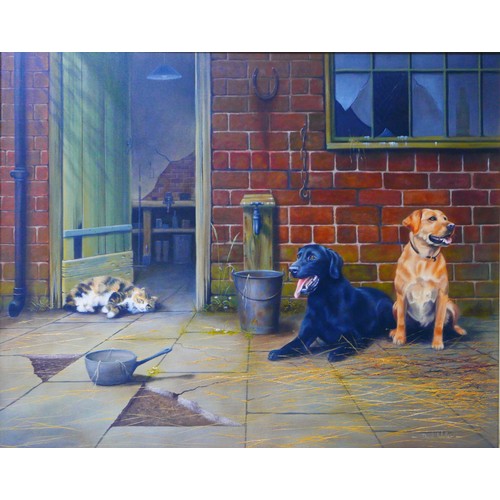 247 - David Waller (British, b. 1948): A study of two labradors and a cat, oil on canvas, signed, 60 by 75... 