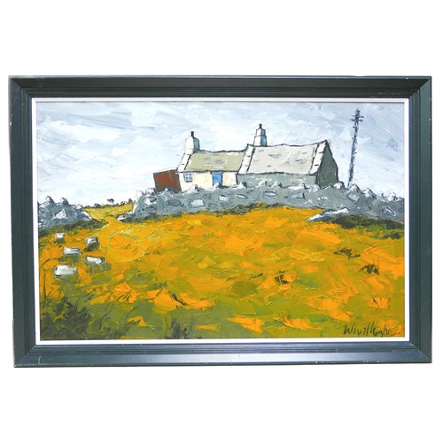 241 - Wyn Hughes (Welsh, b. 1965): Anglesey cottage, oil on board, signed, 46.5 by 72cm, framed, 56 by 81.... 