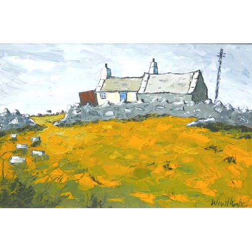 241 - Wyn Hughes (Welsh, b. 1965): Anglesey cottage, oil on board, signed, 46.5 by 72cm, framed, 56 by 81.... 