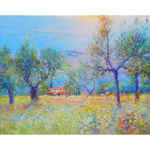 243 - Ted Dyer (British, b. 1940): 'Sunset over the Olive Grove, Tuscany', oil on canvas, signed, titled v... 