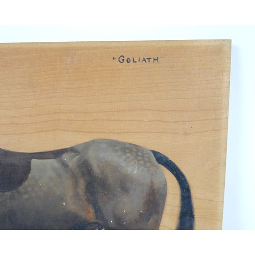 253 - Frances Mabel Hollams (British, 1877-1963): 'Goliath', an equine portrait study of a chestnut hunter... 