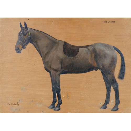 253 - Frances Mabel Hollams (British, 1877-1963): 'Goliath', an equine portrait study of a chestnut hunter... 