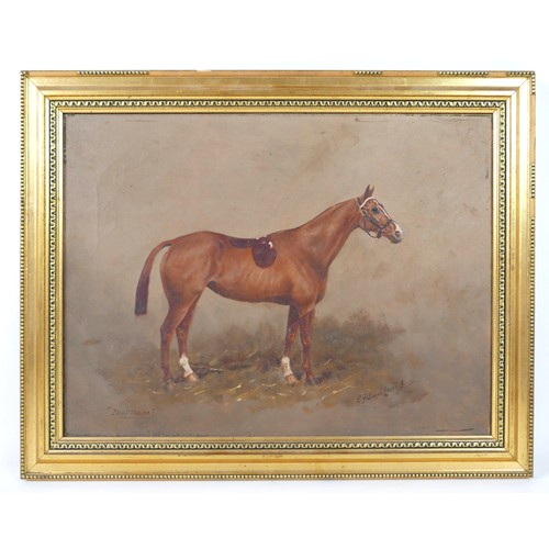 254 - Henry Frederick Lucas-Lucas (British, 1848-1943): 'Dauntless', an equine portrait of a chestnut mare... 